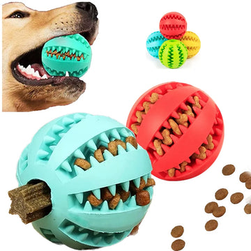 Rubber Pet Molar Toy