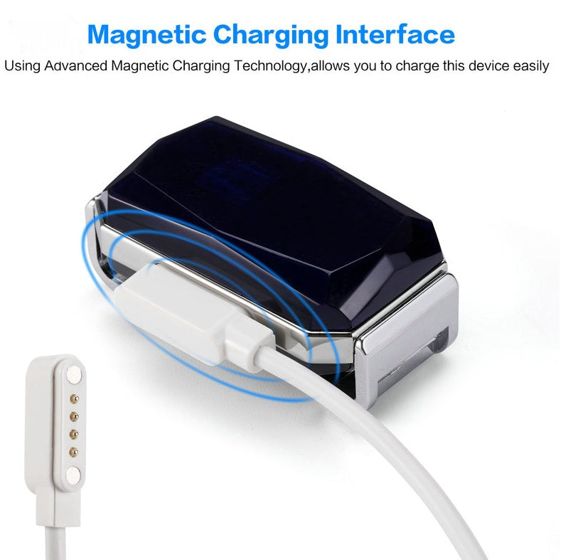 Magnetic charging device for pets