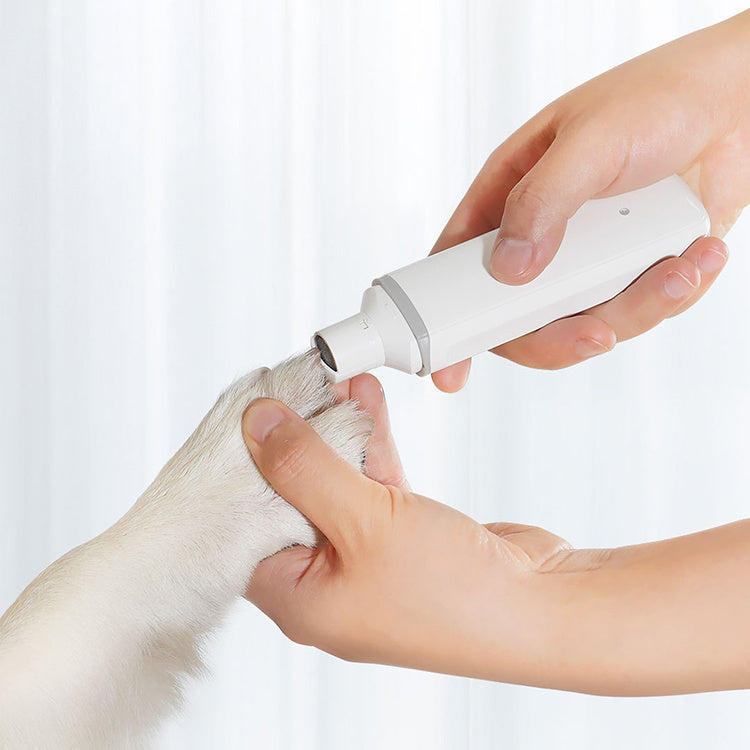 Auto nail polisher for pets provide safe grooming