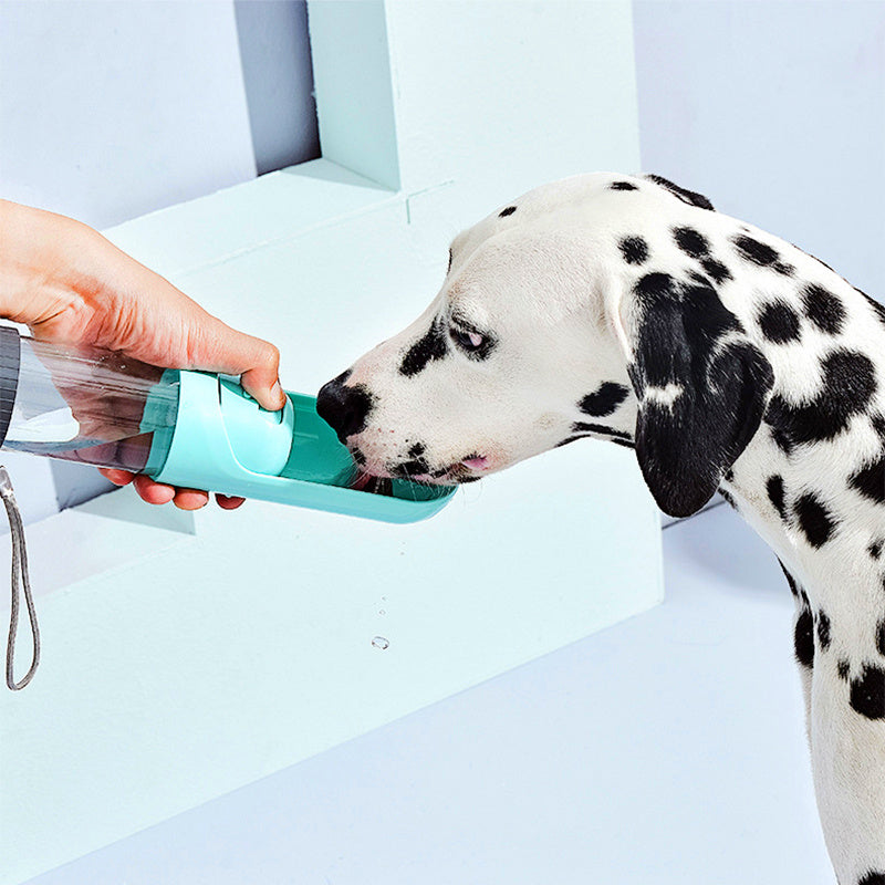 Portable water bottle dispenser for pets