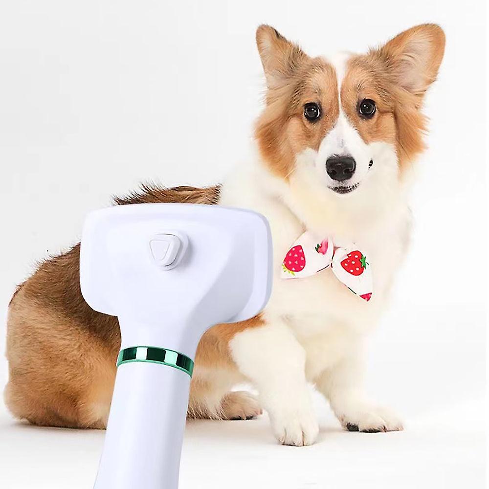 hair dryer and brush for dogs for efficient drying