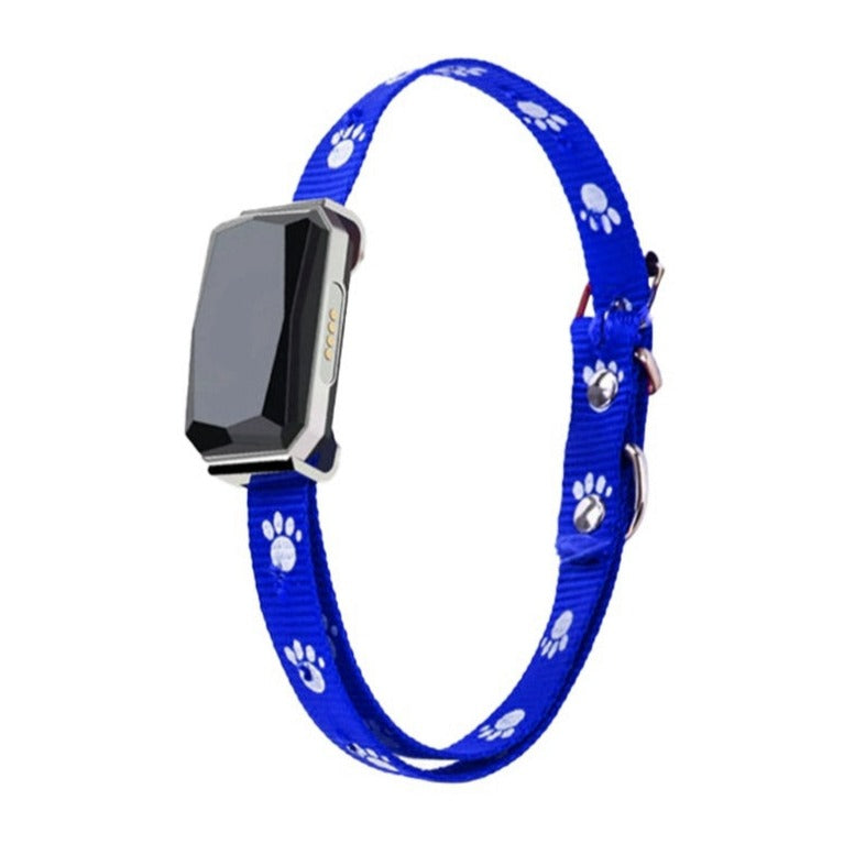 GPS tracking collar for pets reliable navigation