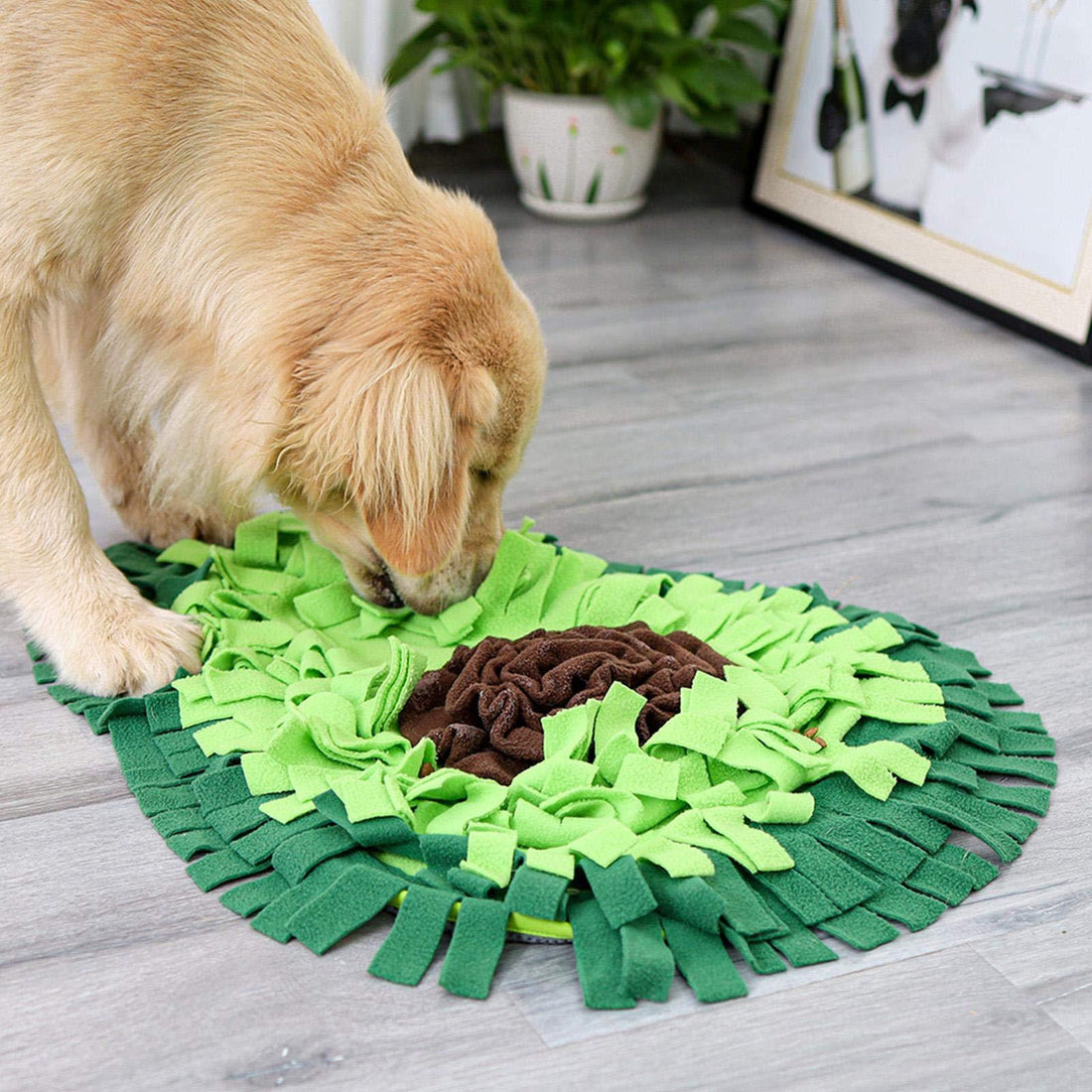 Avocado-shaped snuffle mat for dogs