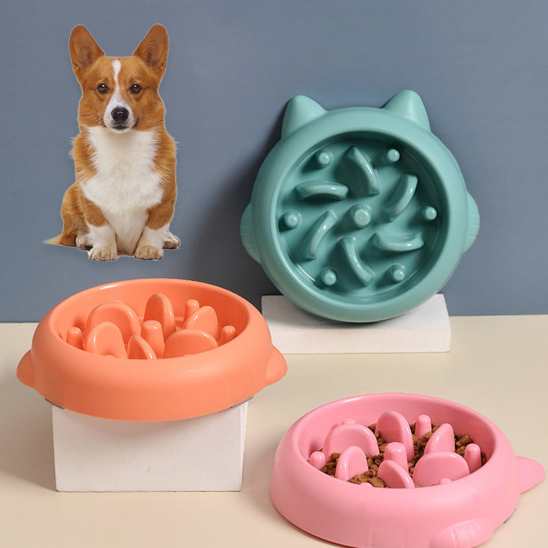 Dog slow feeder bowl to promote healthy eating habits