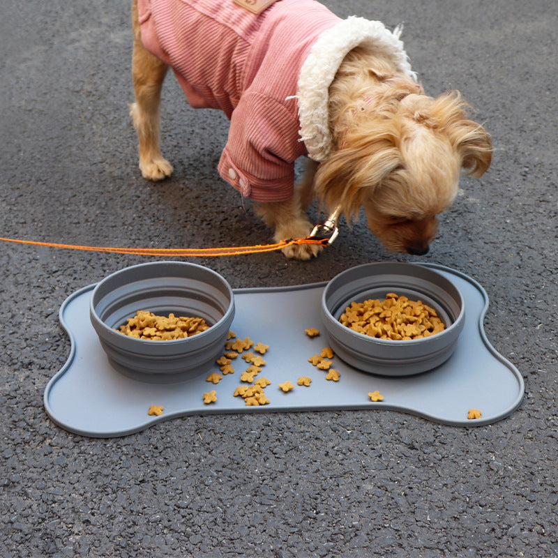 Double pet silicon bowl for food and water