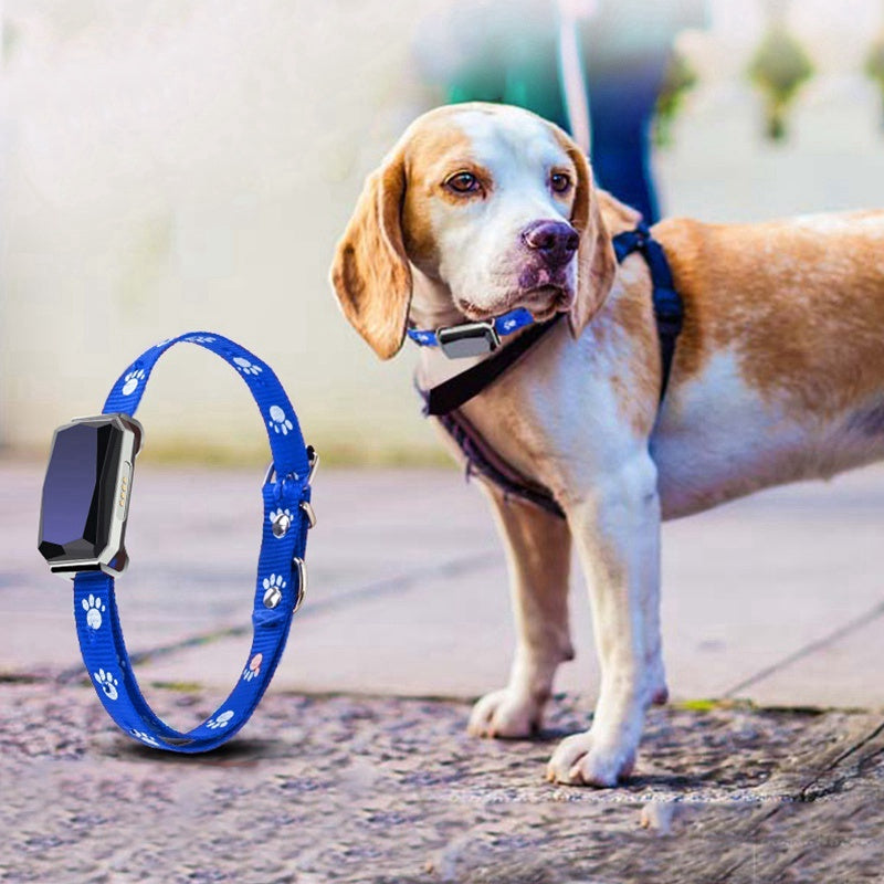 GPS-enabled pet tracking collar for safety