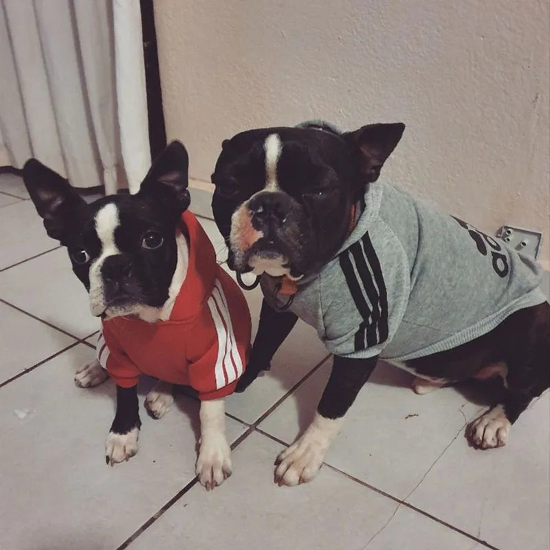 Winter Sports Dog Hoodies