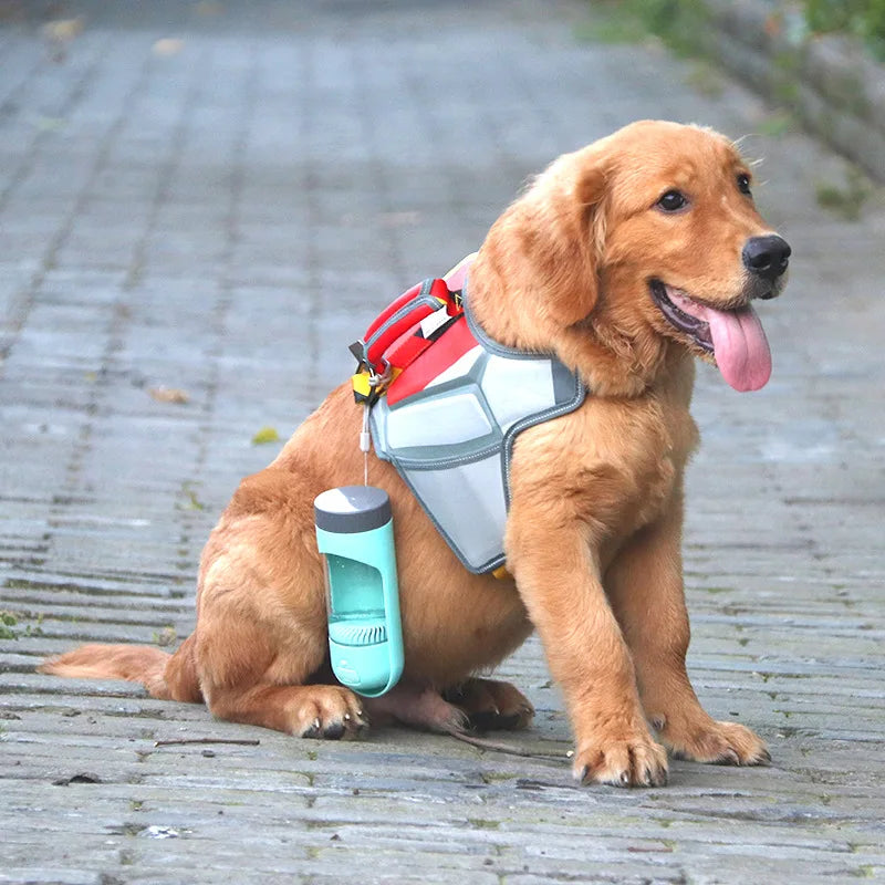 Pet Water Bottle Dispenser