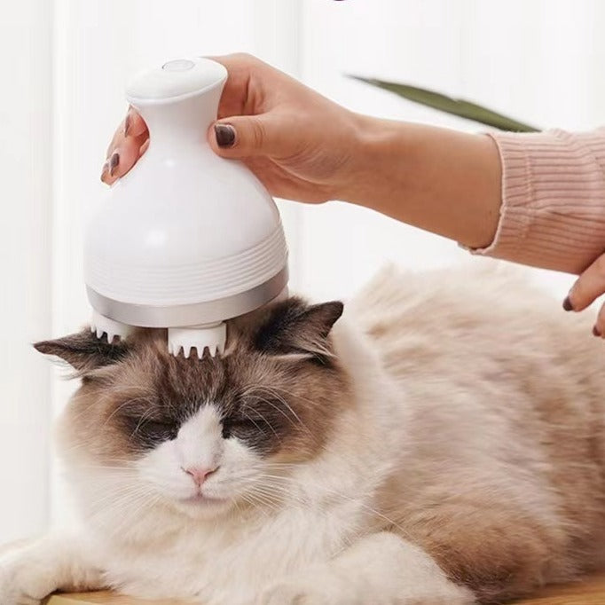 Intelligent Pet Massager