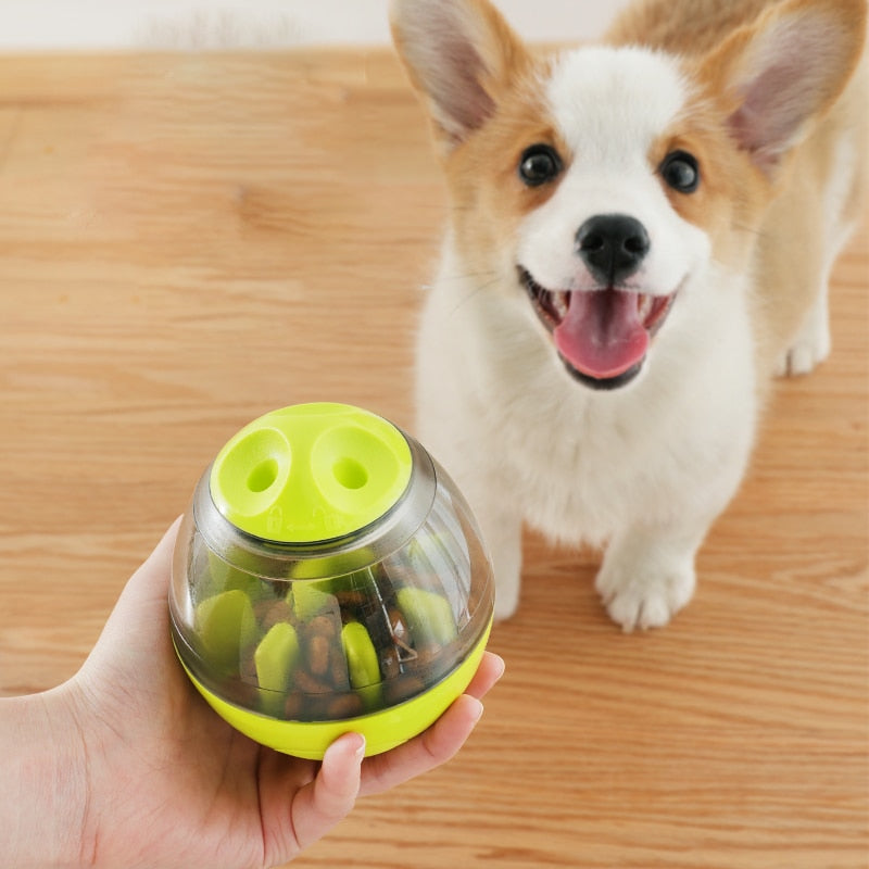 Interactive IQ treat toy for pets for mental engagement