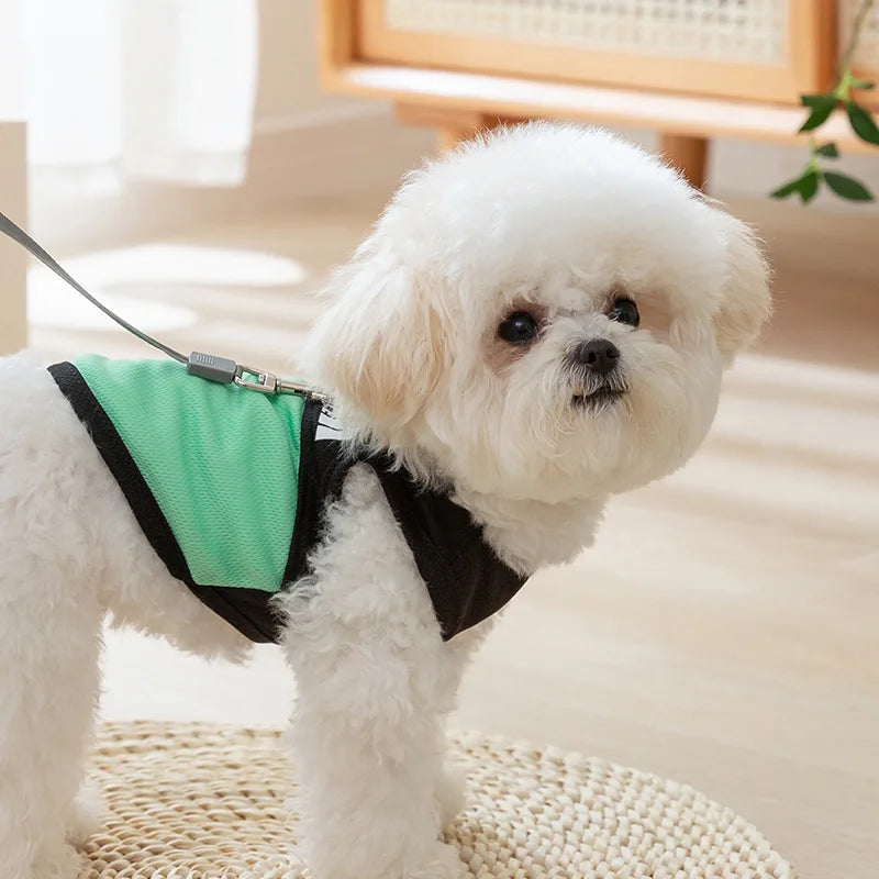 Mesh Thin Summer Dog Vest