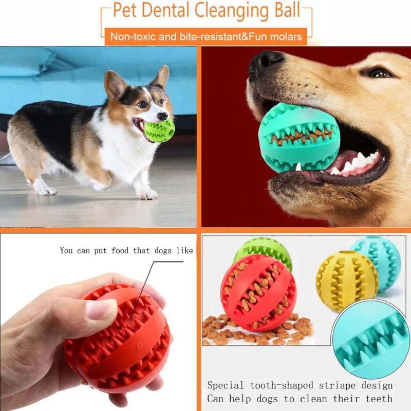 Rubber Pet Molar Toy