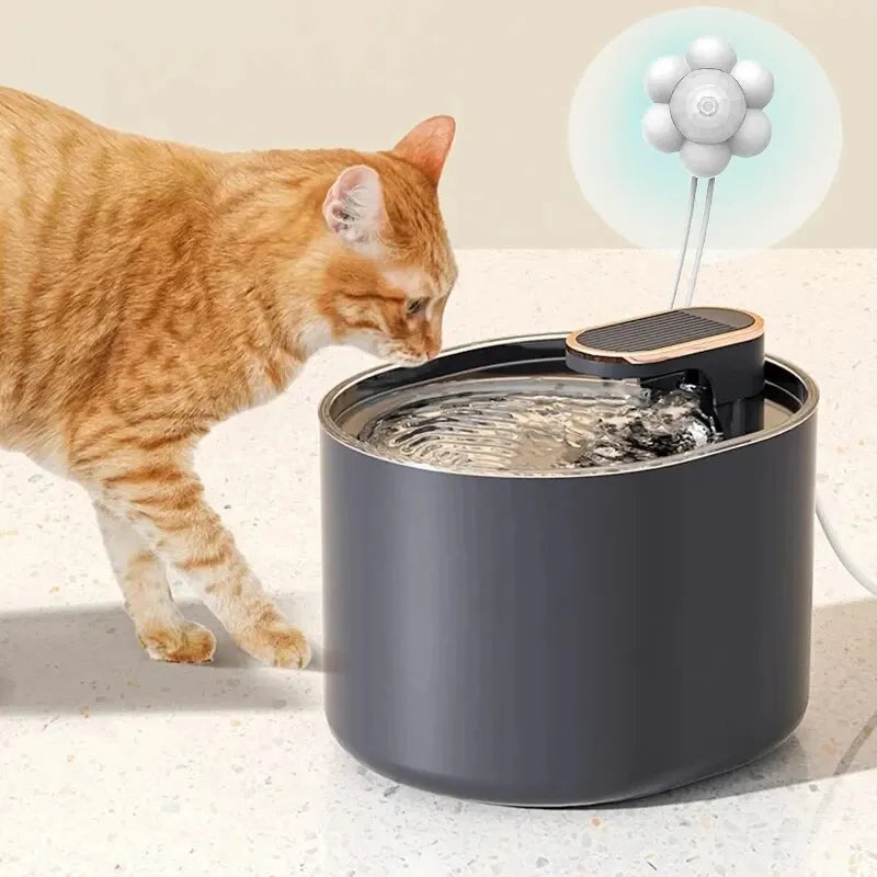 Smart Sensor Water Dispenser