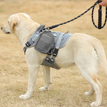 Dog Outdoor Tactical Vest