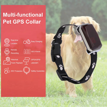 GPS Pet Positioning Collar