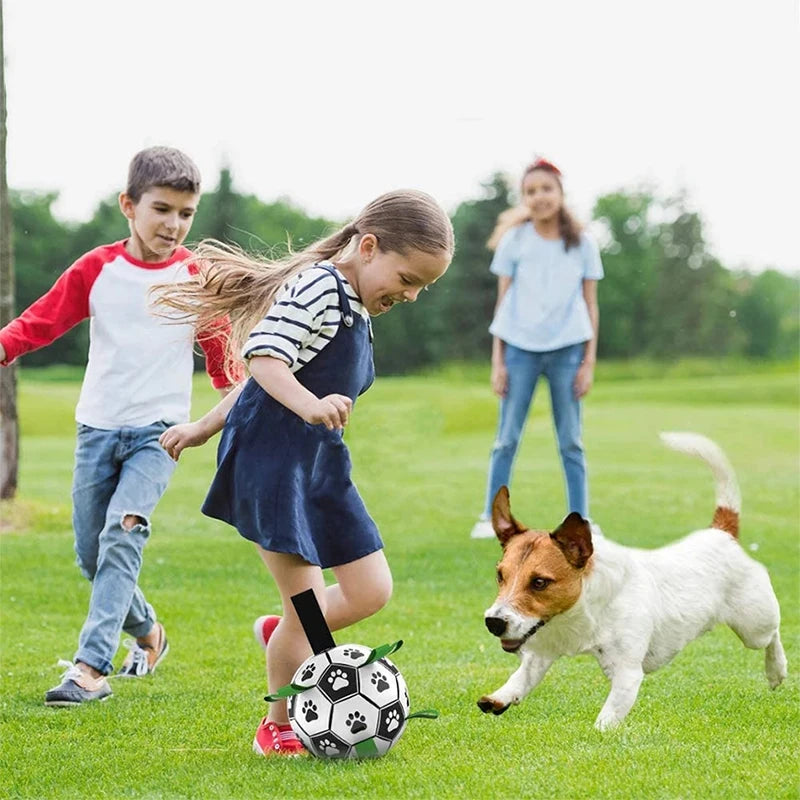 Interactive Dog Soccer Ball