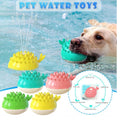 Fun and colorful water toys for pets